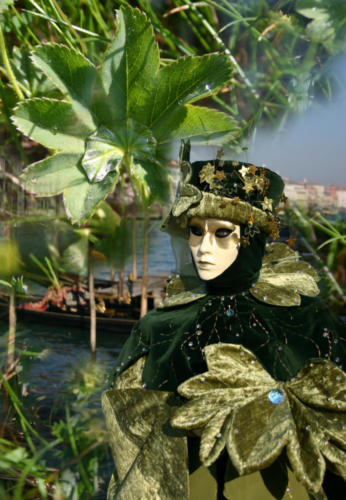 alchemilla_montageb0 Kopie