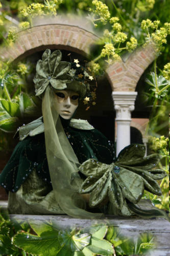 alchemilla_montagee1 Kopie