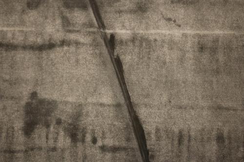 in momentum - vom Werden des BewusstseinsVerlauf Schwarz (Detail)