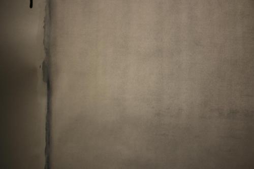 in momentum - vom Werden des BewusstseinsVerlauf S/W (Detail)