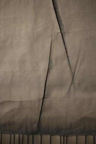 in momentum - vom Werden des BewusstseinsVerlauf S/W (Detail)