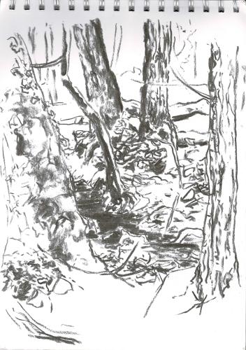 Sihlwald