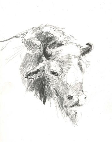 Wisent